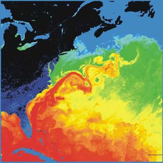 Impacto de los errores de la Corriente del Golfo en los pronósticos