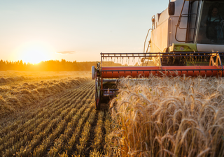 Impacto de los frentes fríos en la agricultura mexicana: Lo que los productores deben saber sobre esta temporada