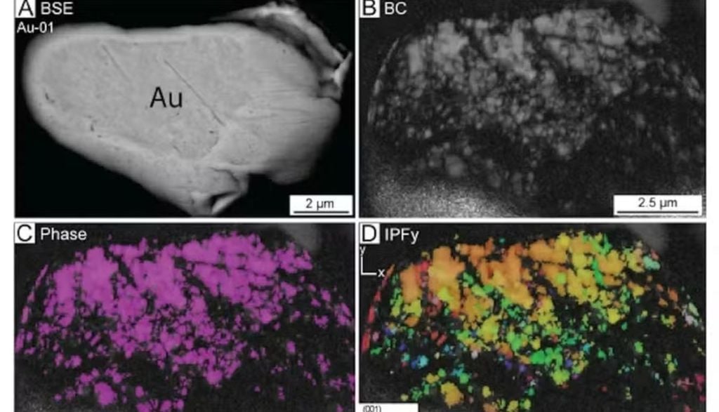 Uma pepita de ouro encontrada na brecha de impacto de Ora Banda; diferentes métodos de imagem revelam que ela possui uma textura granular. Crédito: Raiza Quintero