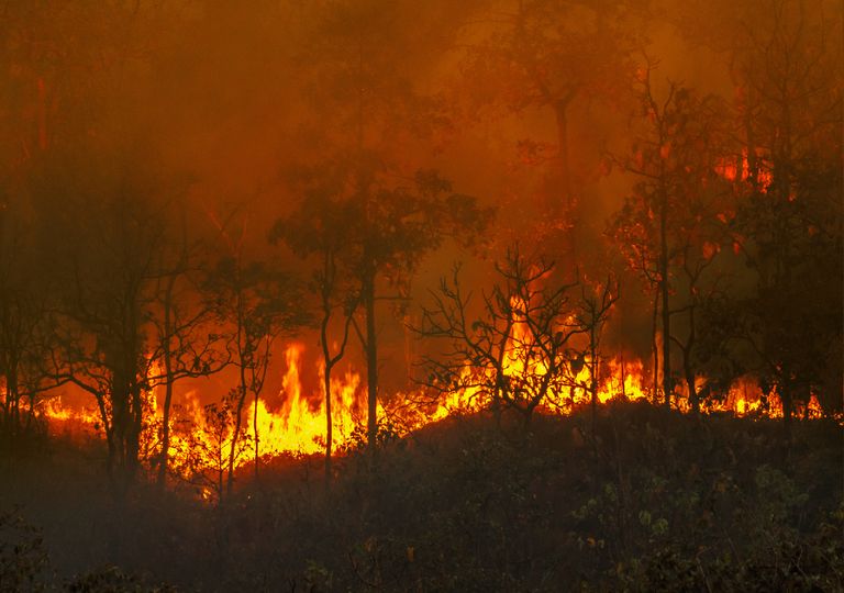 Impacto dos incêndios florestais nos níveis altos da atmosfera Impacto dos incêndios florestais nos níveis altos da atmosfera