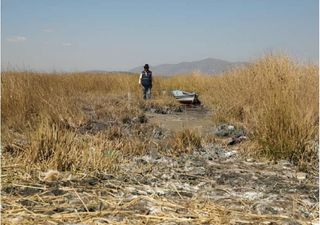 Impacto en el Lago Titicaca: niveles de agua han caído a mínimos históricos