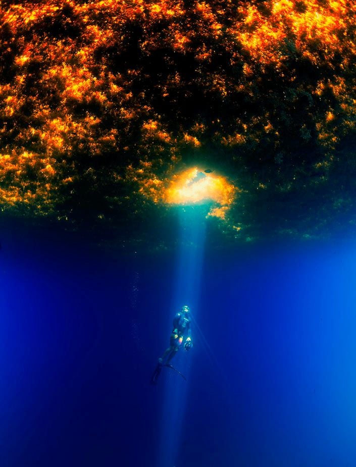 Un buzo explora la isla de San José en el Golfo de California, México. Crédito de la foto: Octavio Aburto