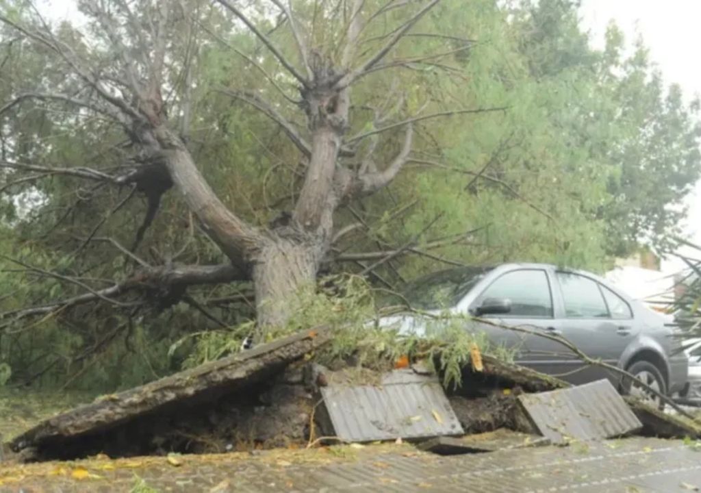 Bahia Blanca temporal ciclón