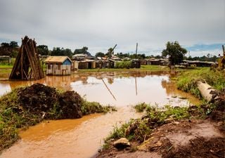 Revelan los impactos del cambio climático en 10 regiones montañosas africanas y las medidas de adaptación utilizadas