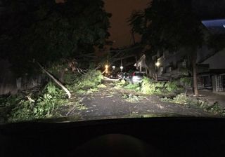 Impactos do Leslie: queda de árvores, desalojados e milhares sem eletricidade