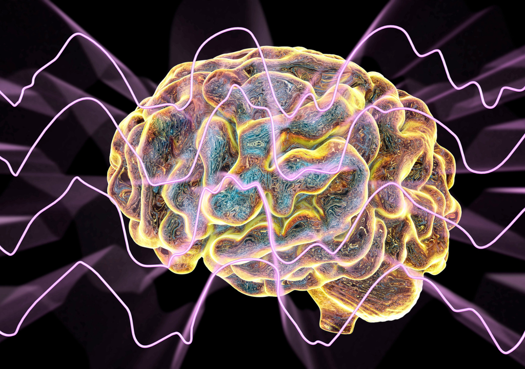 Ondas del cerebro Ondas del cerebro