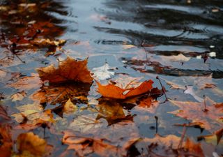 Importantes lluvias para terminar abril