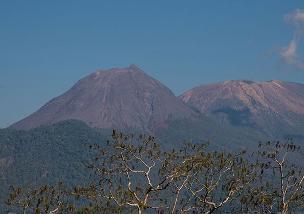 Erupción volcán Lewotobi, Indonesia, Meteored, Chile