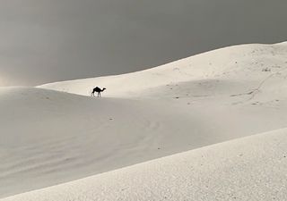 Intensa chuva de granizo "pinta" de branco o deserto da Arábia