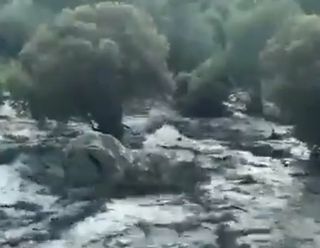 Impresionante inundación repentina en Trevélez: así llegó la ola de agua, troncos y rocas a este pueblo de Granada