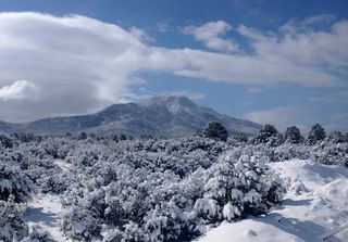 Impresionantes nevadas embellecen el paisaje del norte del país