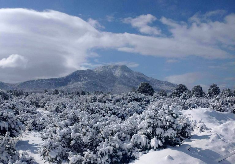 Impresionantes nevadas embellecen el paisaje del norte del país Impresionantes nevadas embellecen el paisaje del norte del país