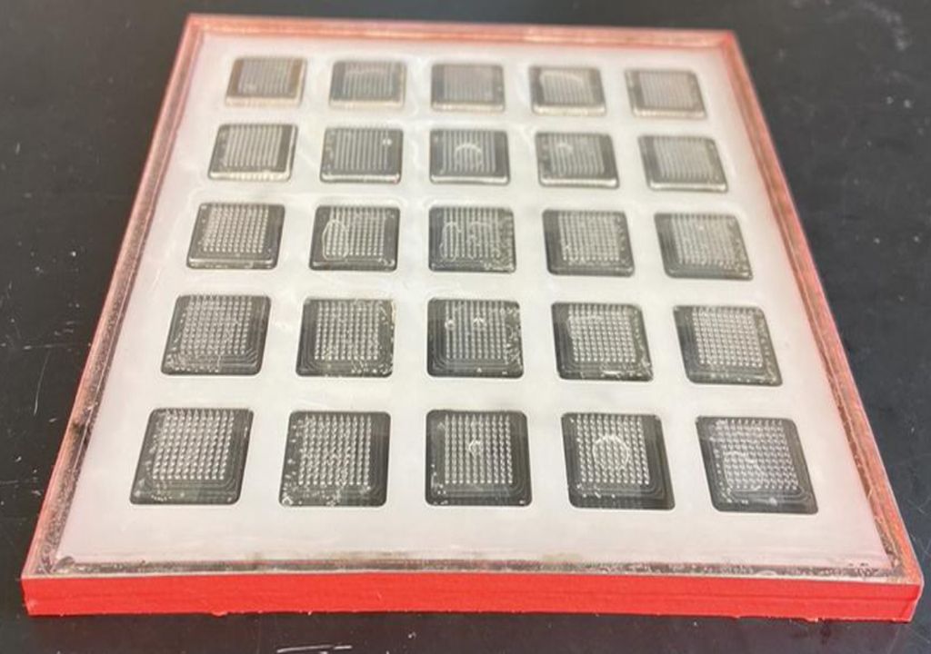 Molde da impressora de vacinas