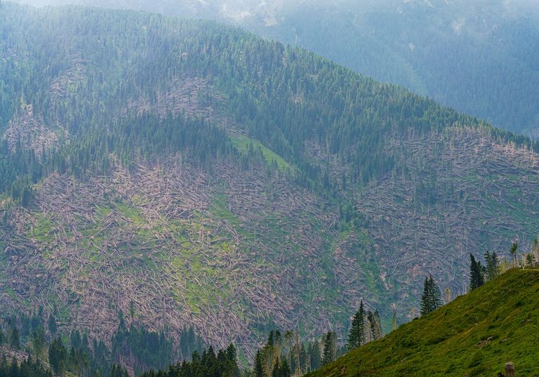 L'impressionante drago nato da una tempesta sulle Alpi italiane: video L'impressionante drago nato da una tempesta sulle Alpi italiane: video