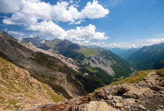 Uno studio rivela l'impressionante migrazione di milioni di insetti attraverso un passo di montagna dei Pirenei