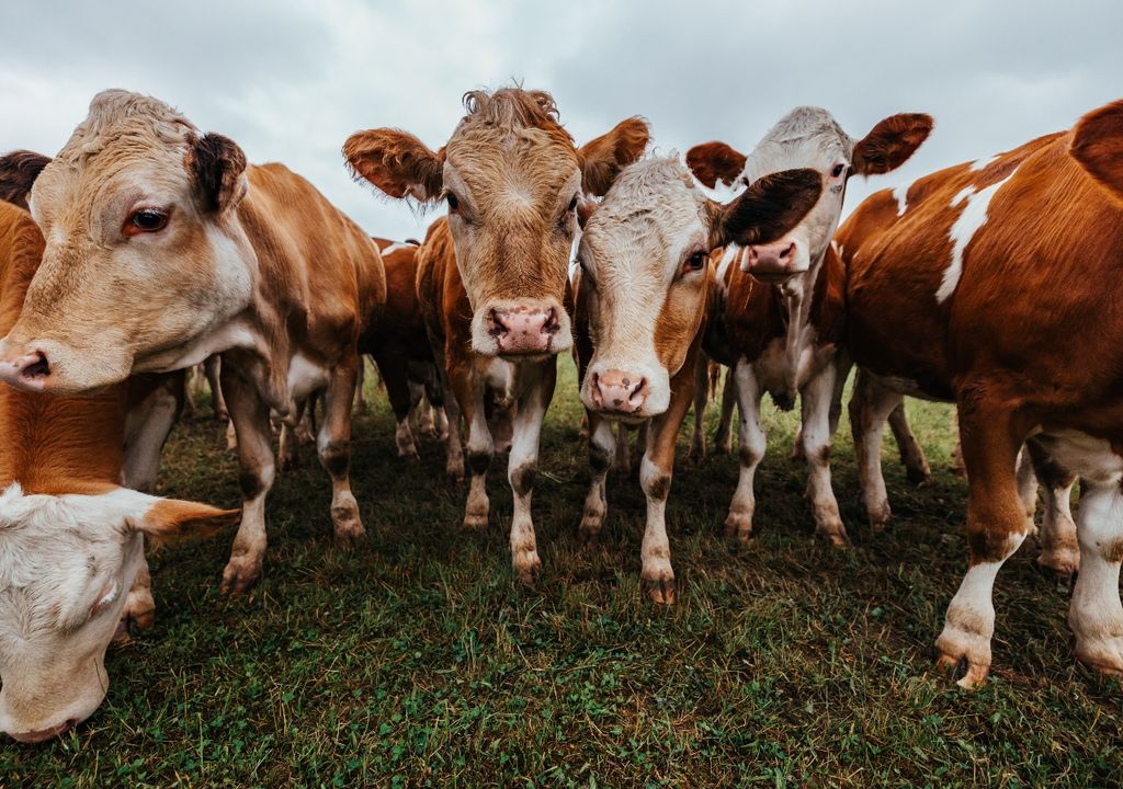 metano, emisiones, GEI