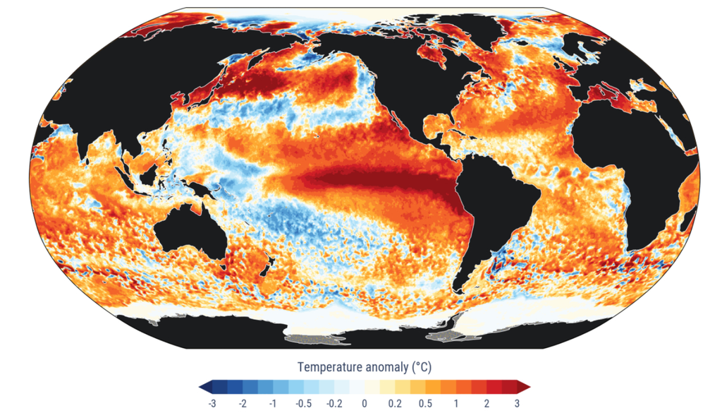 Esta é uma “foto” da anomalia de temperatura da superfície do mar no dia mais quente da história segundo o Copernicus: 22 de agosto de 2026. Créditos: C3S/Copernicus/EMCWF.