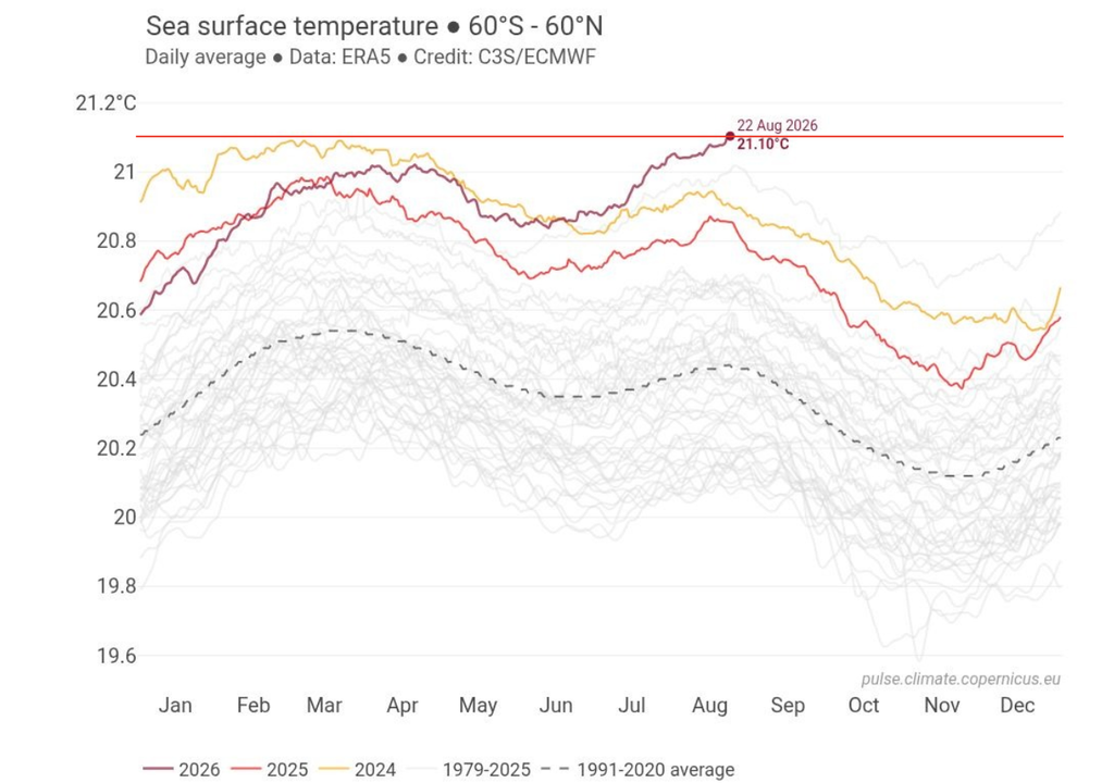 Média diária da temperatura da superfície do mar entre 60°N e 60°S bate recorde absoluto nos dados do ERA5. Créditos: Adaptado de C3S/Copernicus/ECMWF.