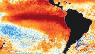 Impulsionado pelo El Ni&ntilde;o, oceanos batem recorde hist&oacute;rico de temperatura em agosto
