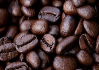 Padrão climático atual favorece as expectativas do café brasileiro no mercado