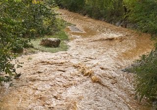 In den nächsten Stunden warnt der DWD: Heftige Gewitter, Starkregen, Hagel – und dann droht das große Trocken-Drama