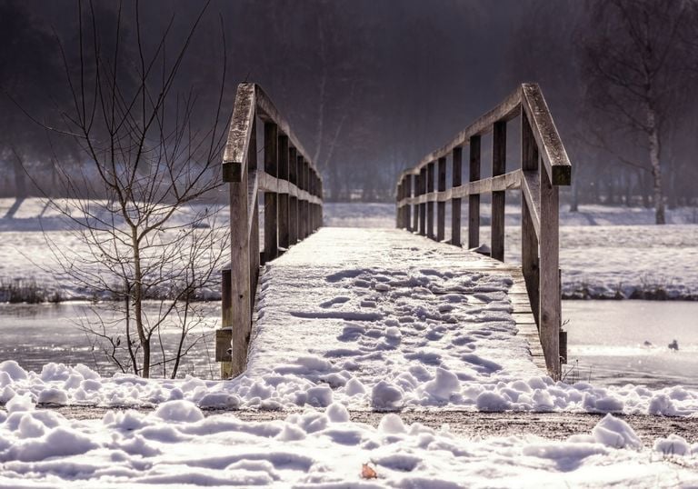 Winterwetter Fehlanzeige Winterwetter Fehlanzeige