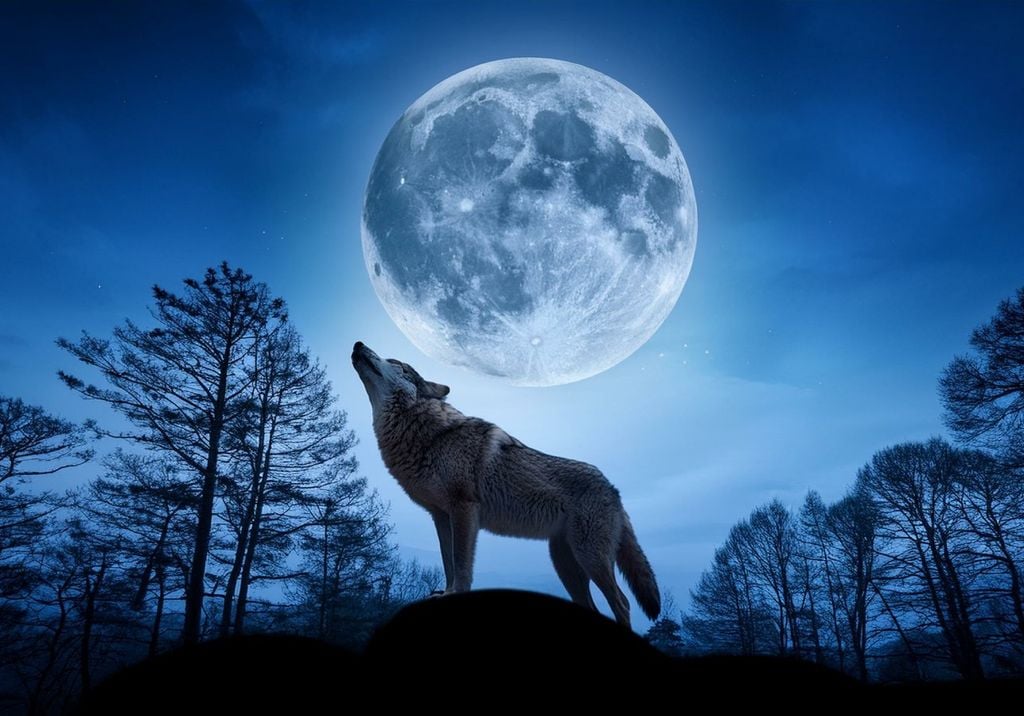 A "Wolf Moon" will rise just before the middle of the month.