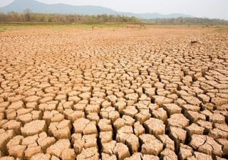 In Sicilia prorogata l'emergenza siccità, ecco le zone dell'Isola che si dovranno preparare a un'estate con poca acqua