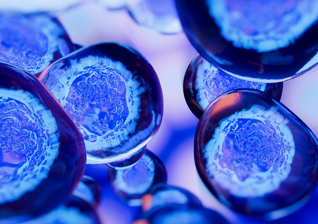 Inacreditável: Cientistas conseguem alterar e retardar o envelhecimento de células