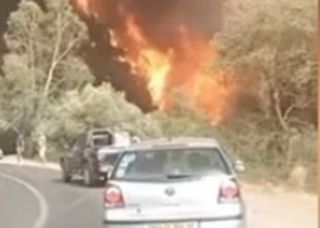 Incendi in Algeria, almeno 70 morti: i video