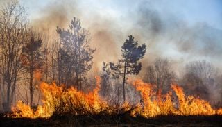 Incendi sempre pi&ugrave; devastanti: come la scienza prova a prevederli e contenerli nell'era del clima estremo