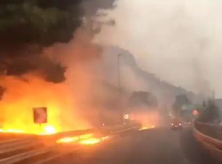 Inferno di fuoco nel sud dell'Italia, 5 morti per gli incendi in Sicilia e Puglia: i video e la situazione