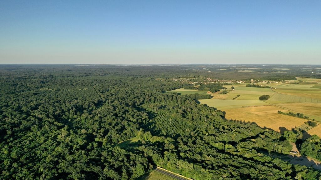 La forêt de Fontainebleau se situe à environ 60 km au sud-est de Paris.