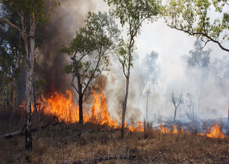 Incendies : des régions aujourd'hui épargnées bientôt touchées ? Incendies : des régions aujourd'hui épargnées bientôt touchées ?