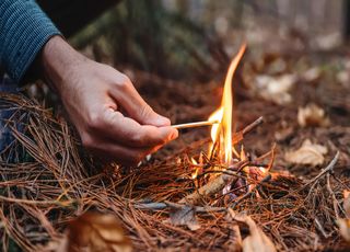 Incendies : l'Homme est-il toujours à l'origine des feux de forêt ?