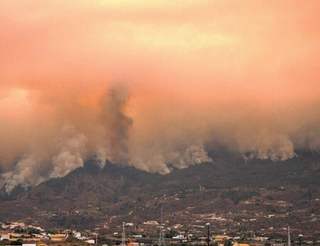 Incendies : le Canada et l’Espagne touchés par des mégafeux, des millions d’hectares ravagés 