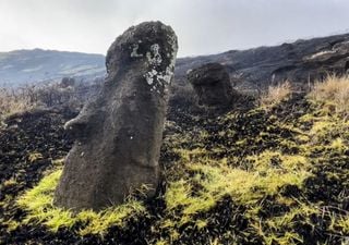 Incêndio causa danos irreparáveis as famosas estátuas da Ilha de Páscoa