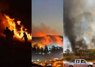 Incêndio consome 60% de parque e produz "chuva de cinzas" em São Paulo