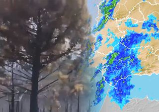 La lluvia ayuda a "controlar" el incendio de Sierra Bermeja en Málaga