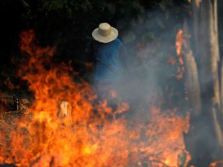 Crisis en el Amazonas...¿Qué ha sucedido la última semana de agosto?