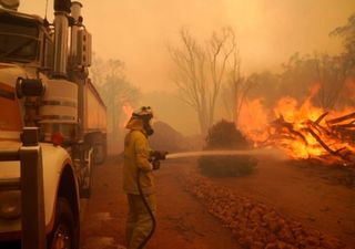 Incêndio florestal destroi dezenas de casas na Austrália