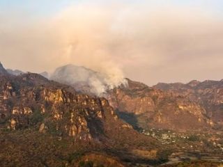 Incendio forestal arrasa con miles de hectáreas de flora en el estado de Morelos
