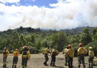 Incendio incontrolable: el fuego ya consumió más de 3000 hectáreas del Parque Nacional Los Alerces