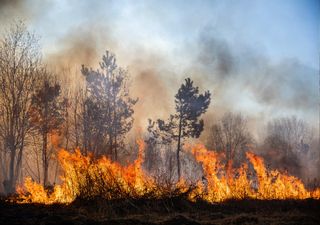 McKinney fire: the largest fire in California this year