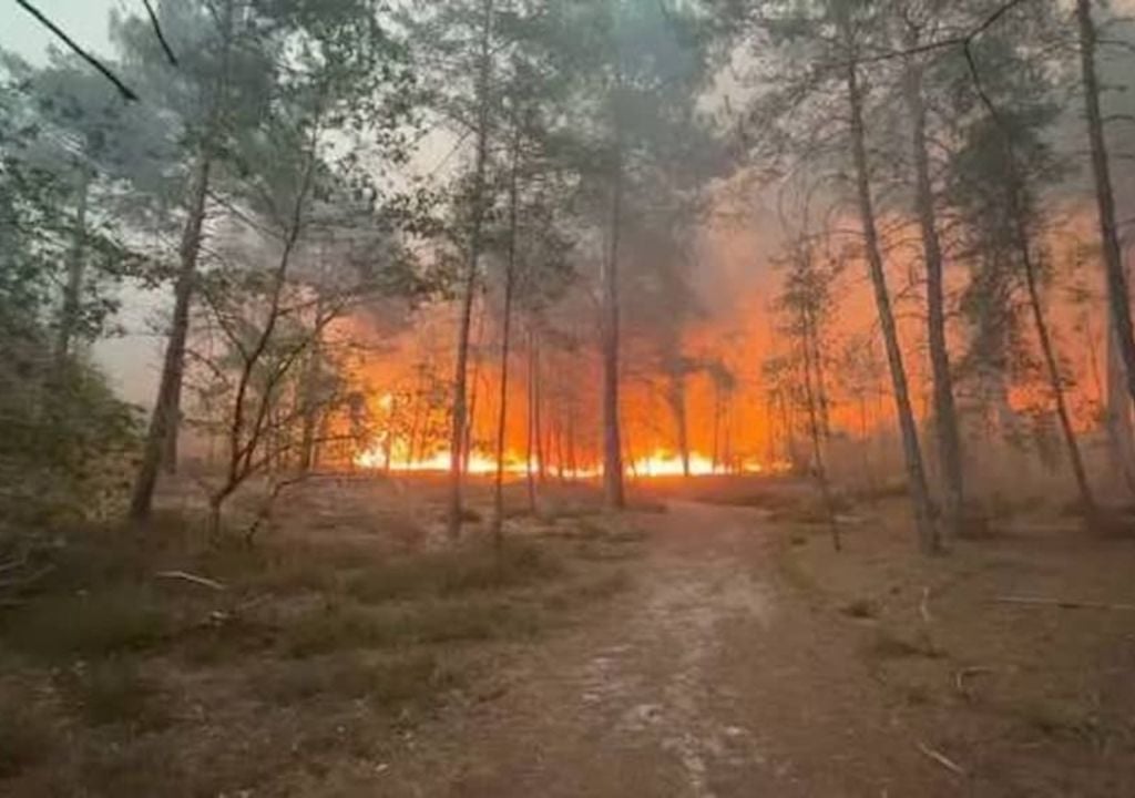francia El incendio alcanzó un territorio integrado a la Reserva de Biosfera de Fontainebleau y Gâtinais, reconocida por la Unesco por su riqueza ambiental y diversidad de paisajes. Imagen gentileza: Infos Françaises @InfosFrancaises en X