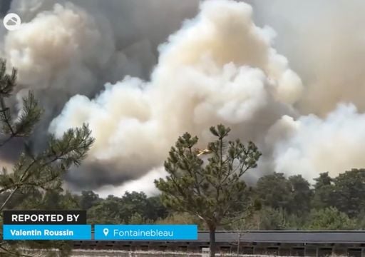Incendio sin precedentes en Fontainebleau: 1.300 hect&aacute;reas afectadas y 800 bomberos contra las llamas