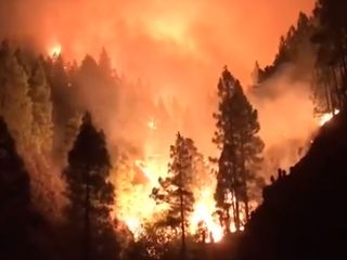 Incêndio violento em Gran Canária provoca evacuação de mil pessoas