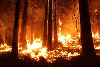 Incendios a través del Reino Unido