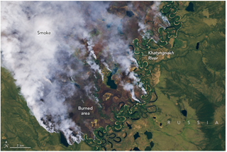 Los científicos avisan sobre los recientes incendios que carbonizan el Ártico siberiano
