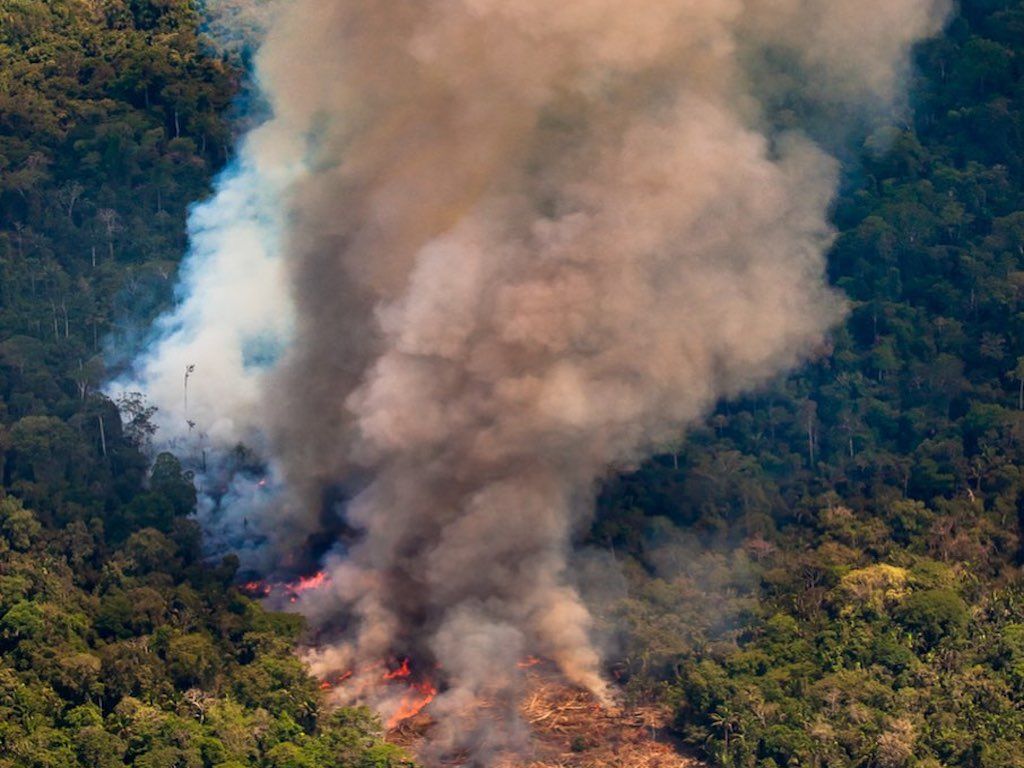 Incendios Catastróficos En La Selva Amazónica De Brasil Y Bolivia 